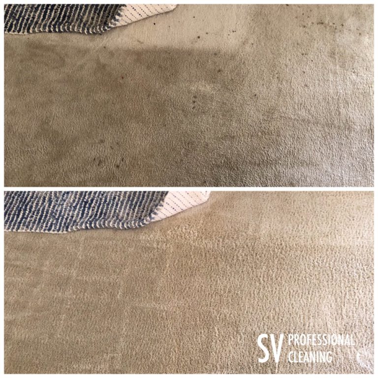 before and after images of carpet cleaning